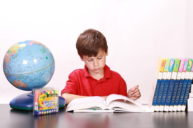 Boy Reading Books